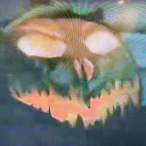 Meet your Posher, Corbett